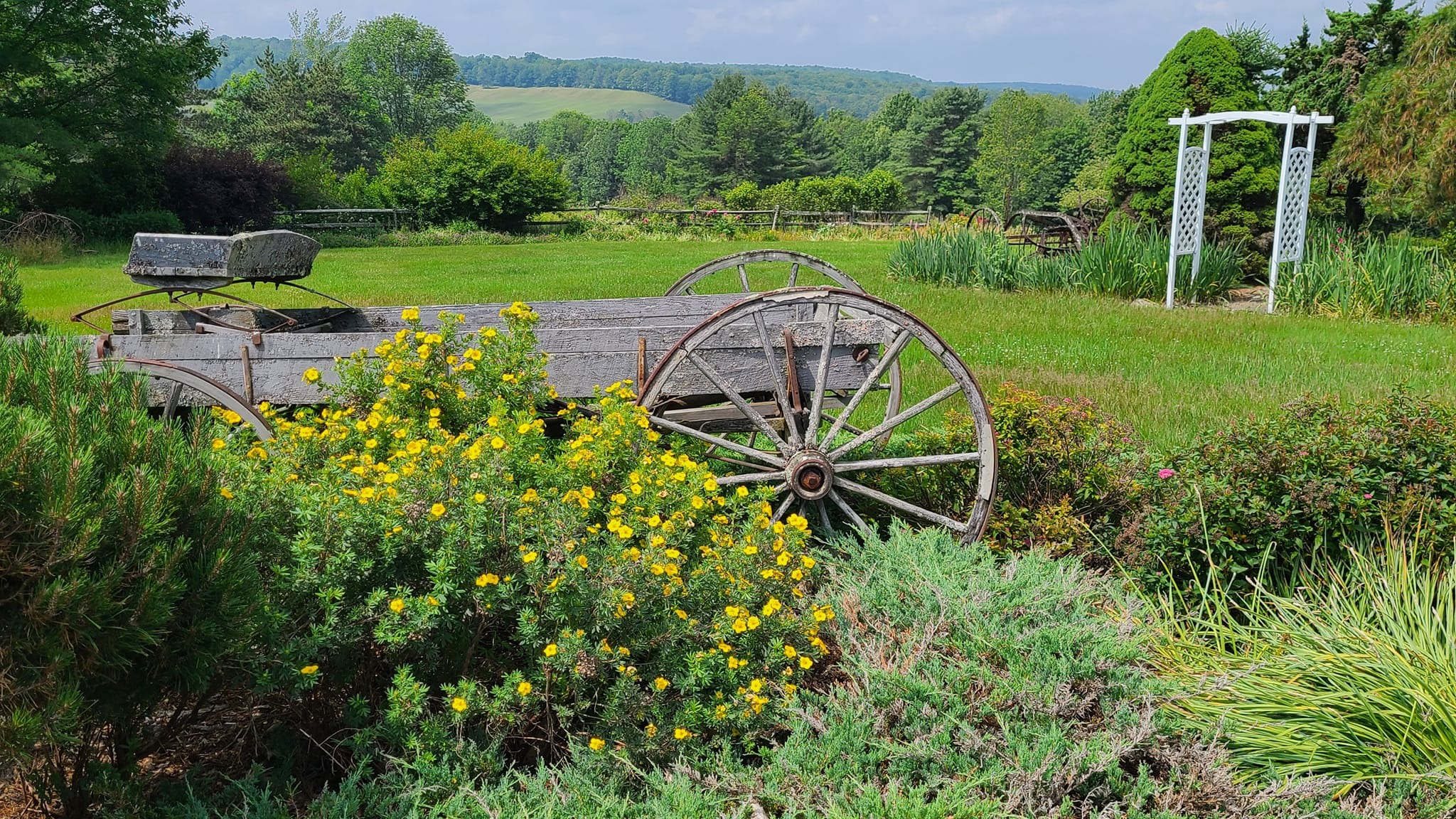 timeless heritage history, inquisitive expression, exploring ancient ruins, photorealistic, among towering stone structures with intricate carvings, highly detailed, gentle breeze moving leaves around, shot in RAW, aged stone colors, diffused overhead sunlight, shot with a 35mm lens.
