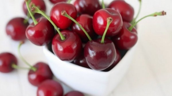 Love at First Bite: The Science Behind Tart Cherry Benefits