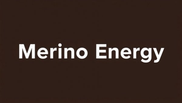 Merino Energy logo with white text on dark brown background.