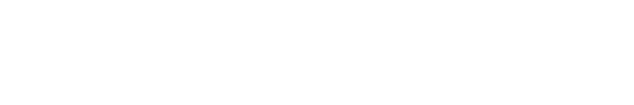 Local Business Maverick