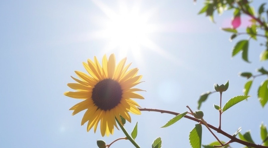 Sunlight boosts digestive health and improves bowel movements naturally.
