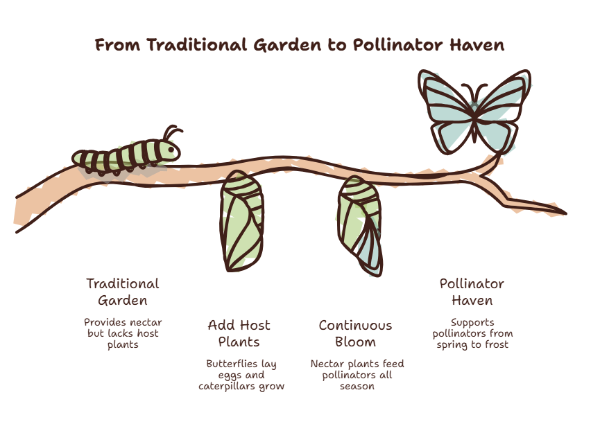 From Traditional Garden to Pollinator Haven