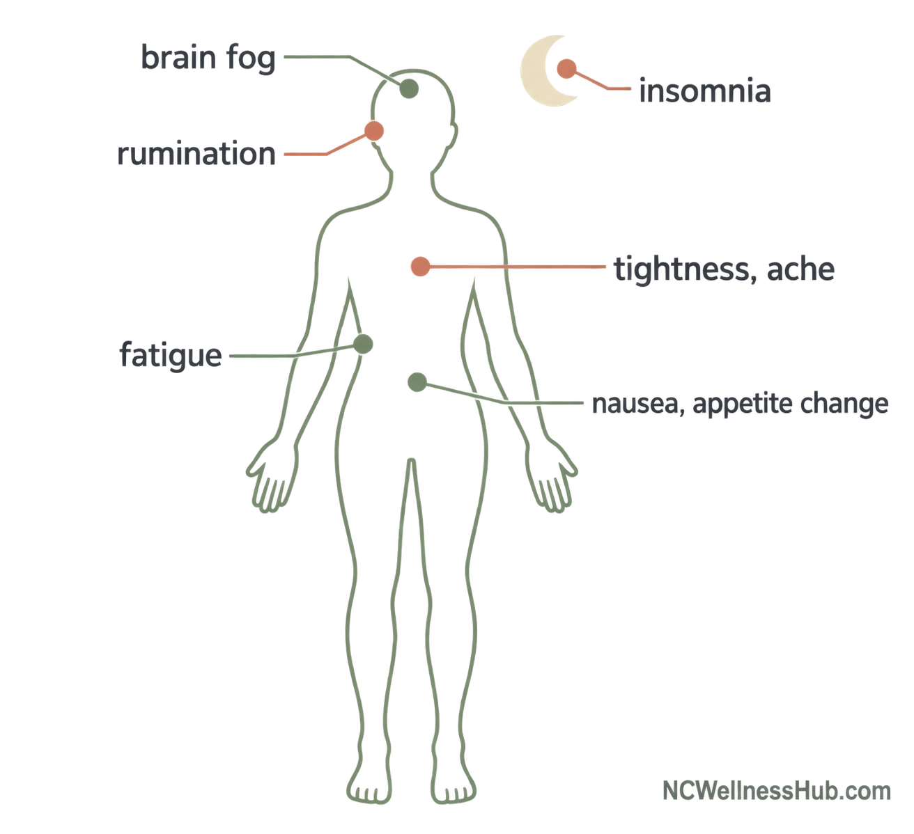 Six-point wellness symptom map