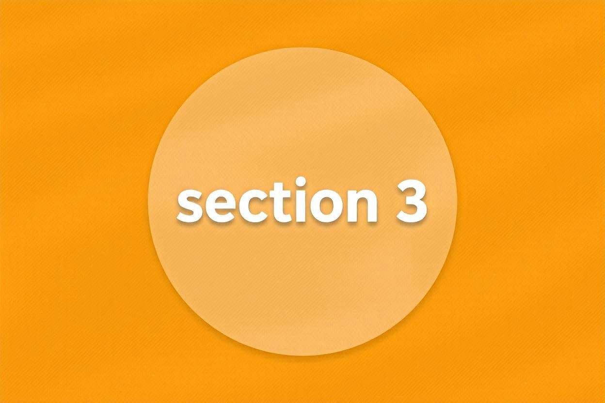 Section 3