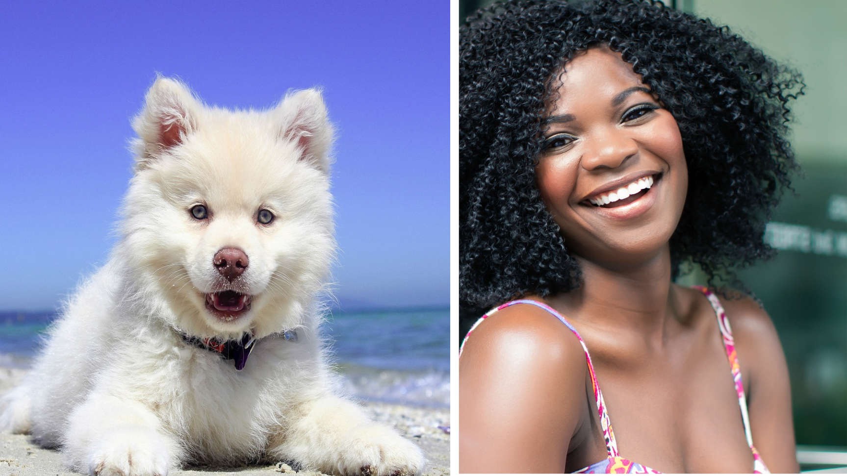Dog on beach and Woman Laughing