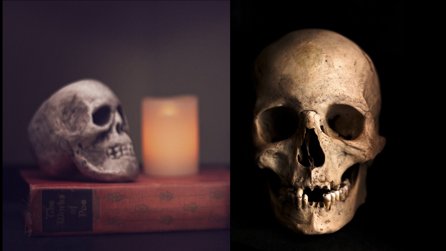 Skulls and a candle