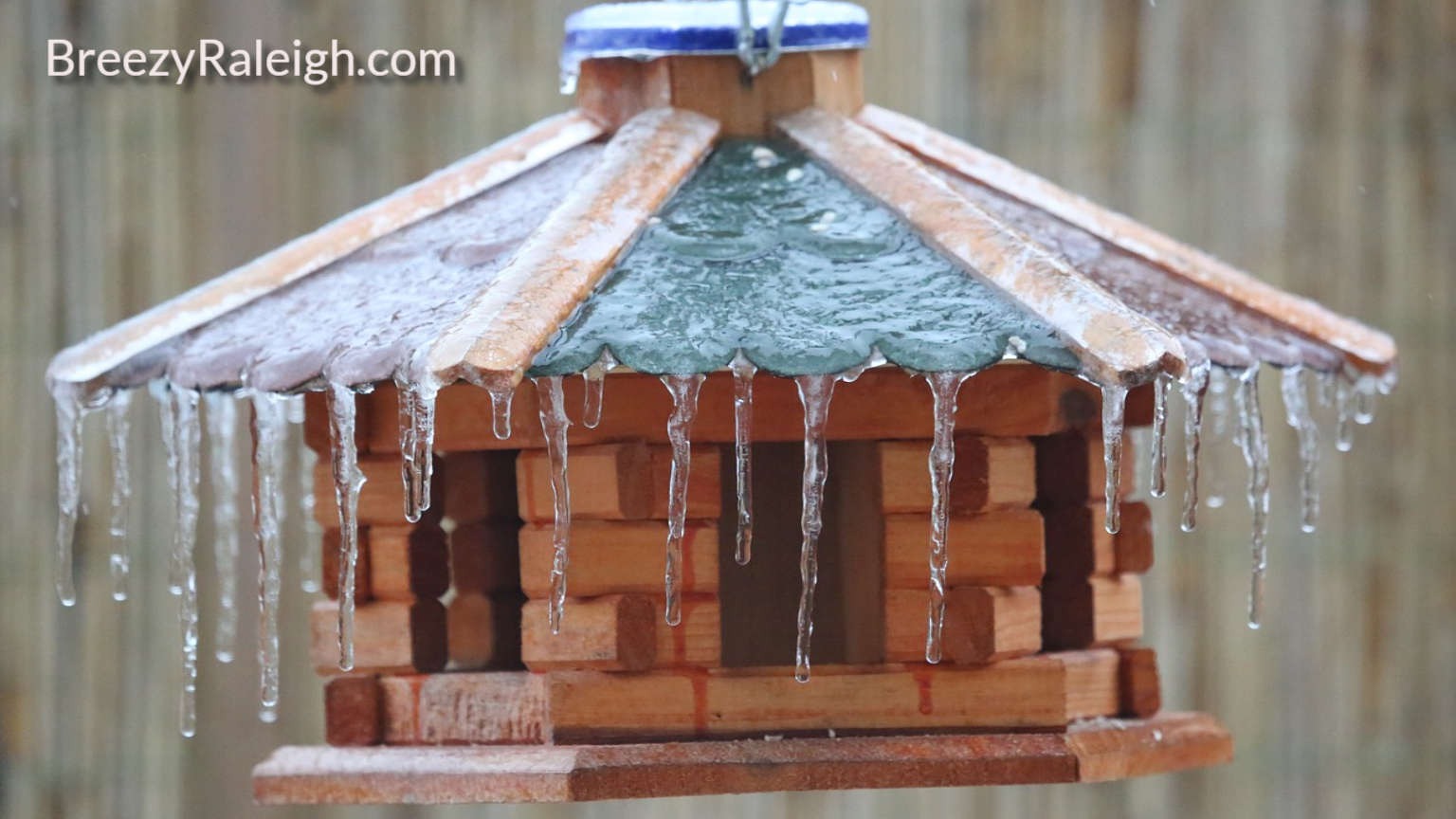 birdhouse with ice on it