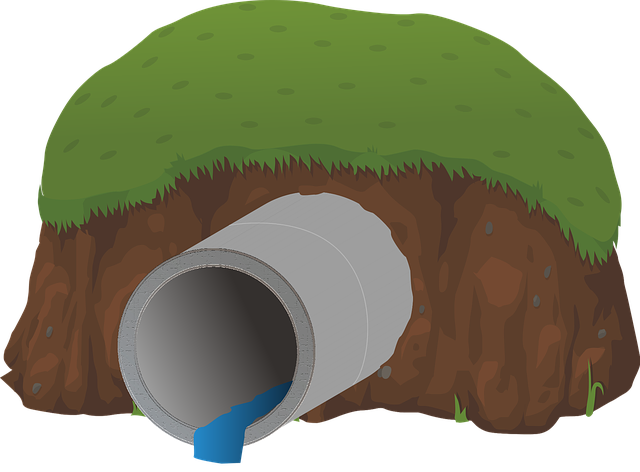 signs of a failing septic system