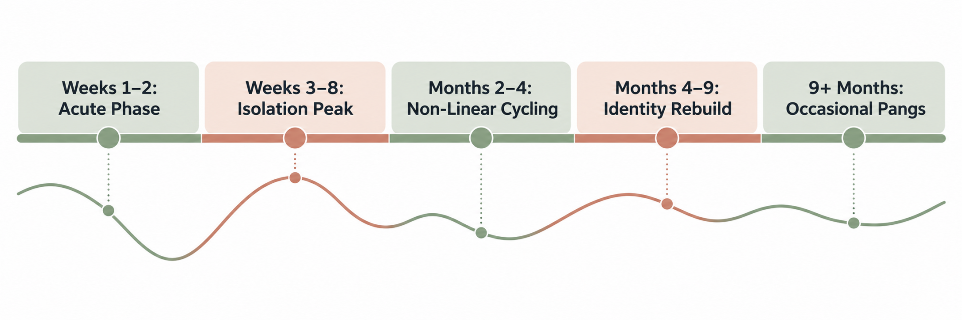 Five-stage non-linear healing timeline