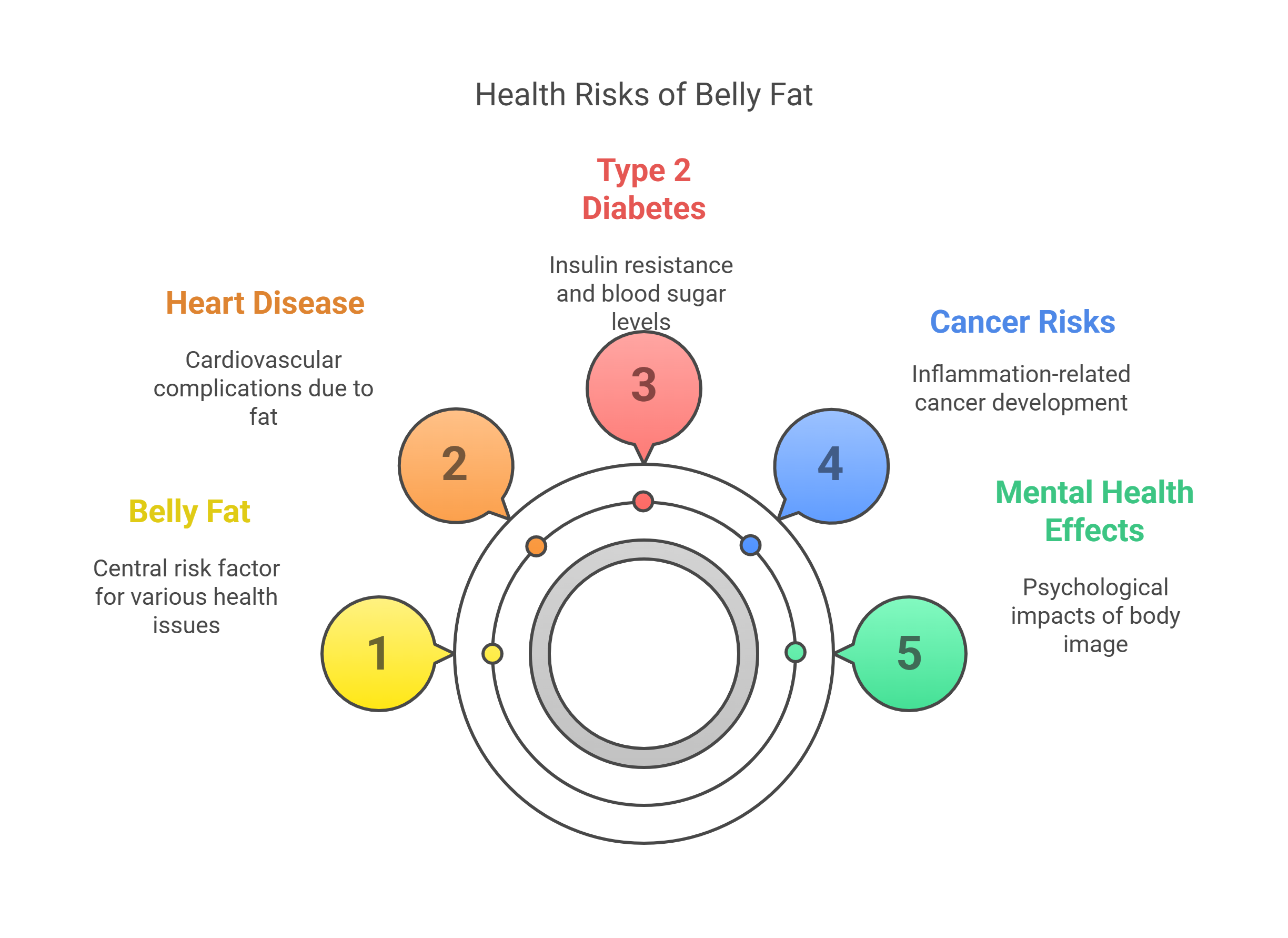 Health Risks of Belly Fat