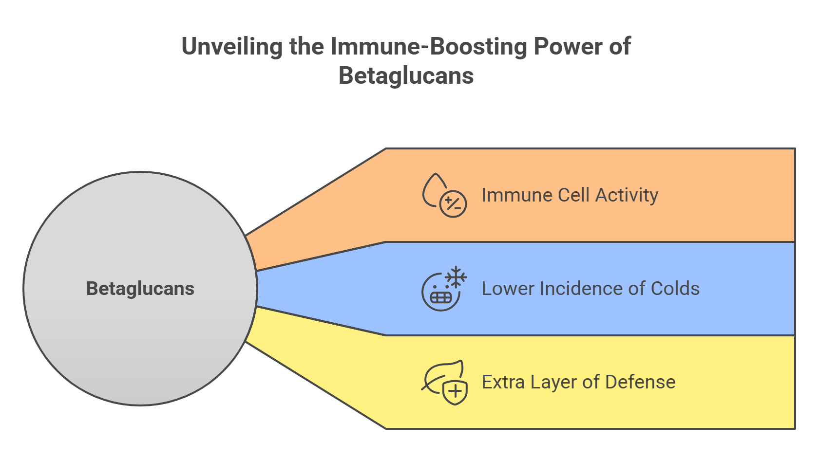 Immune-Boosting Power of Betaglucans
