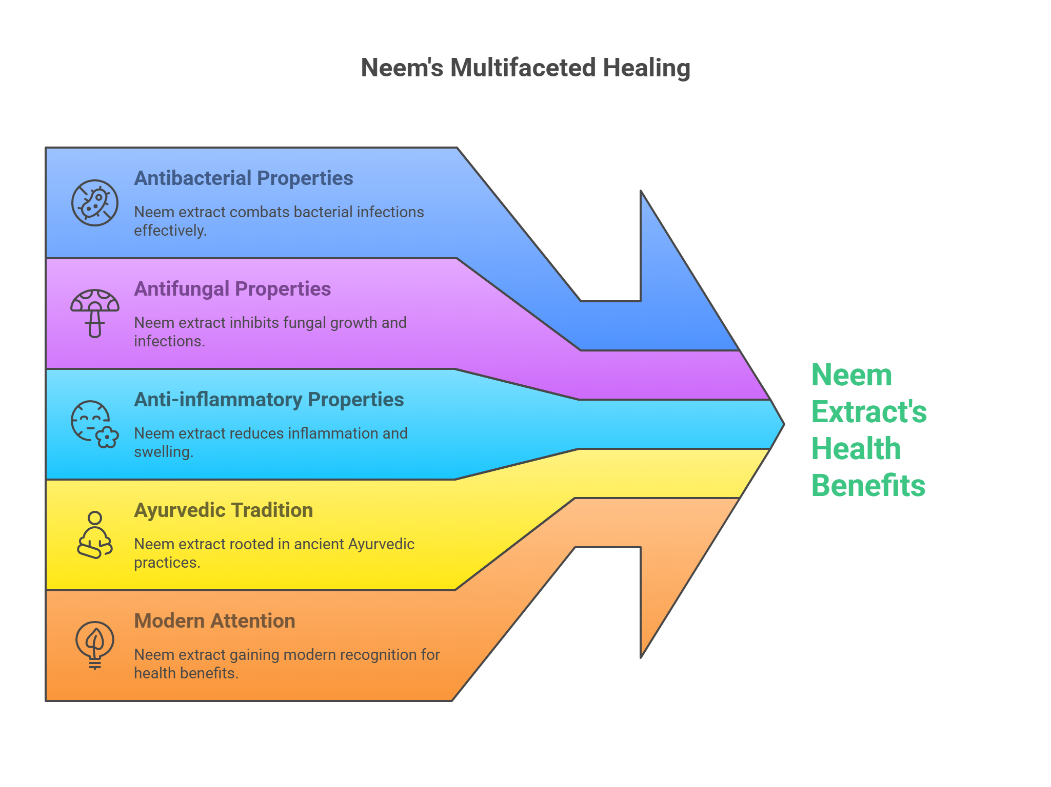 Benefits of Neem
