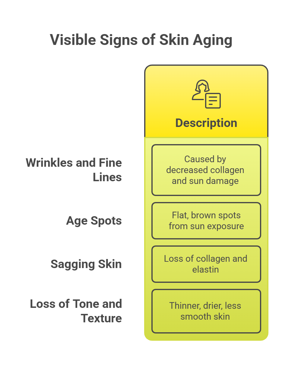 Visible Signs of Skin Aging