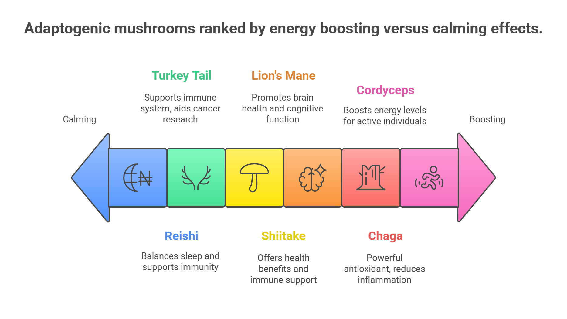 Adaptogenic Mushroom types