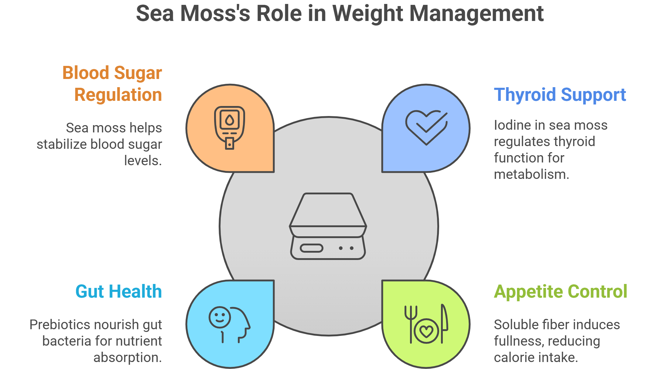 Sea Moss and Weight Management