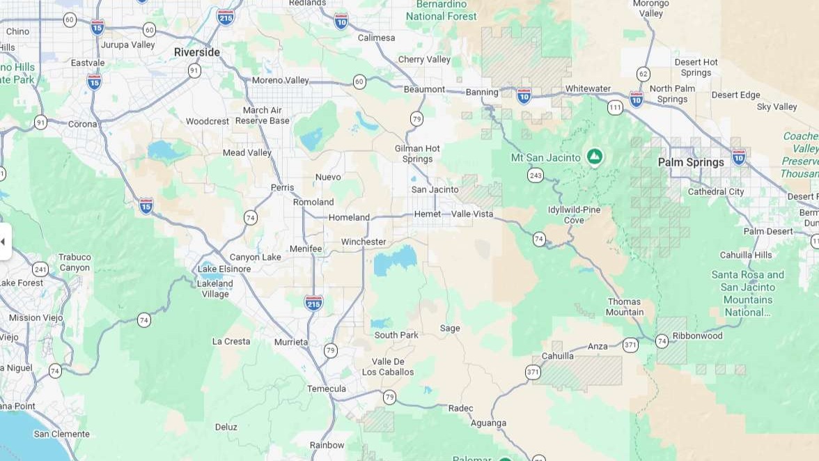 Affordable dog grooming