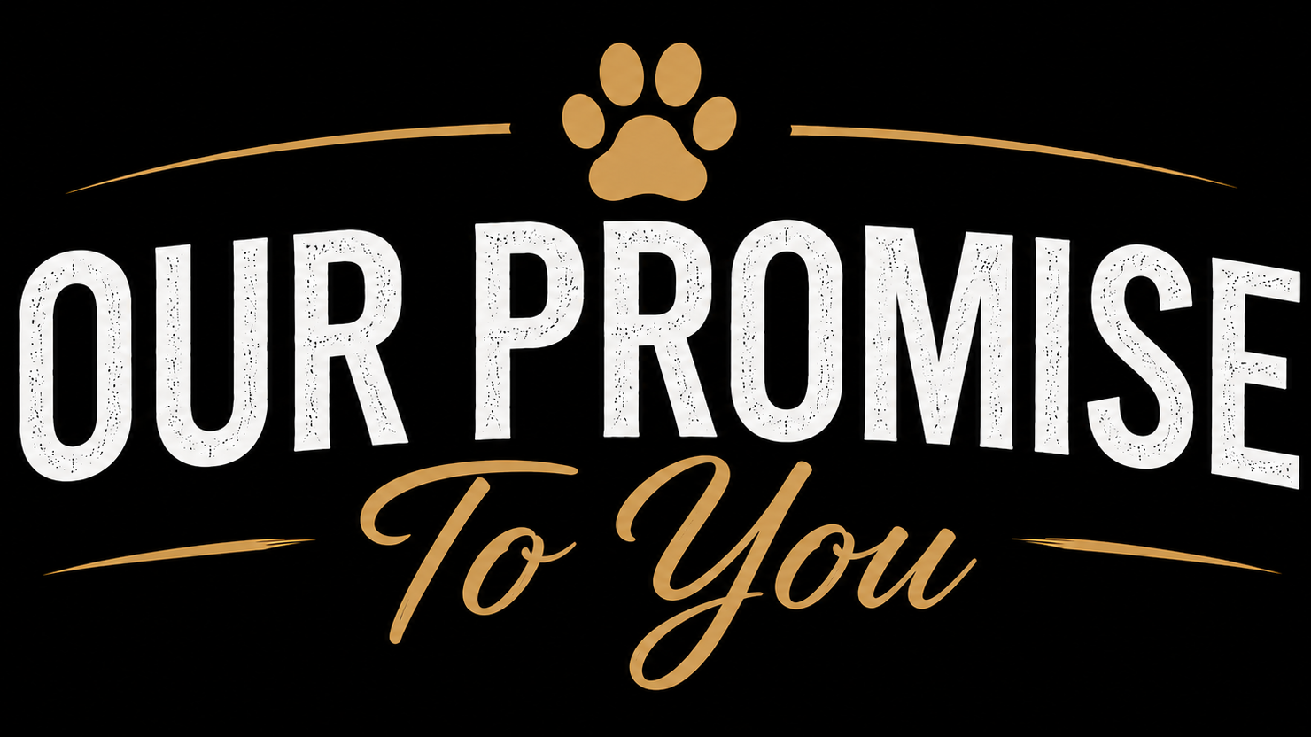 Professional mobile dog groomer in Southern California