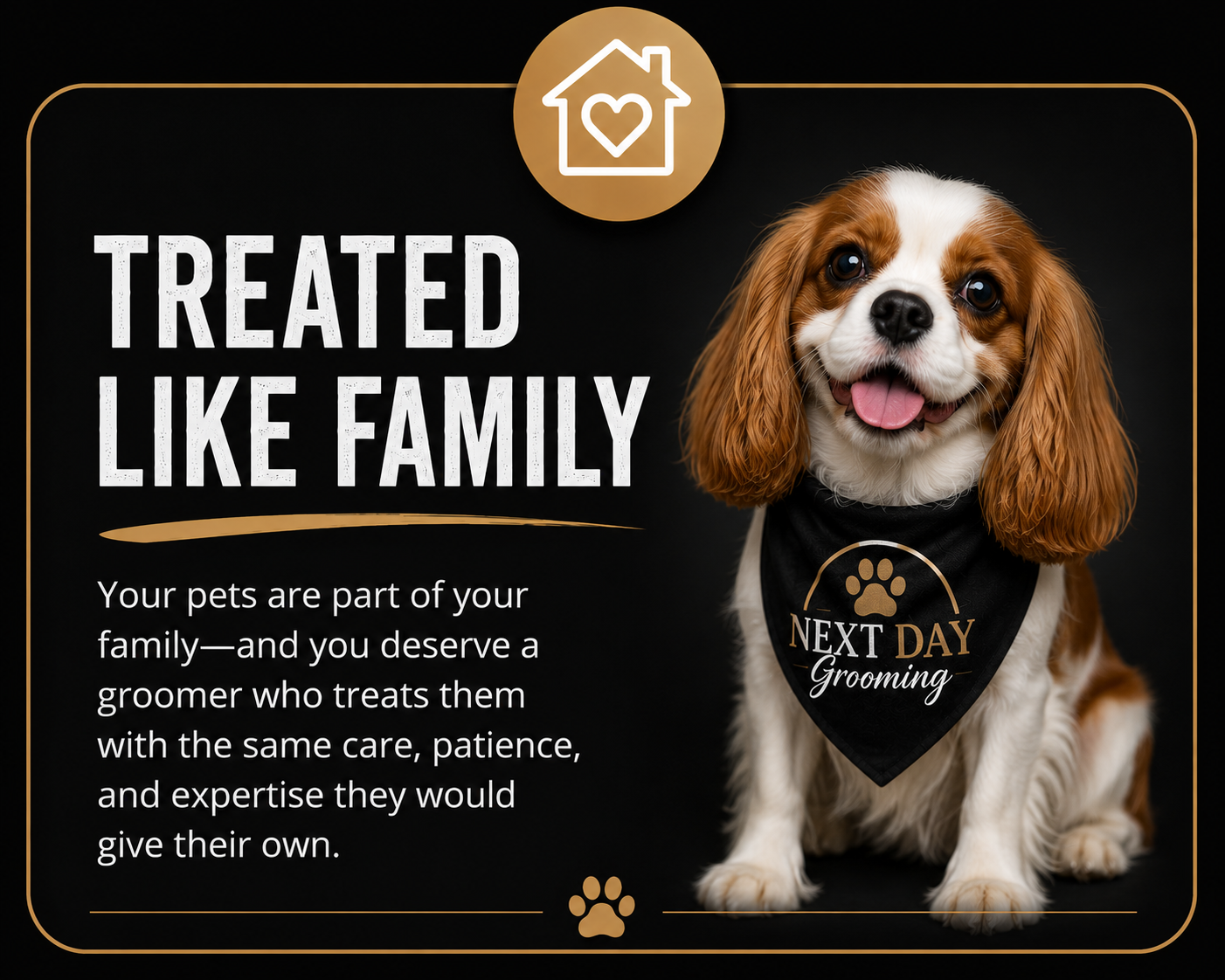 Expert dog grooming with over 20 years of experience