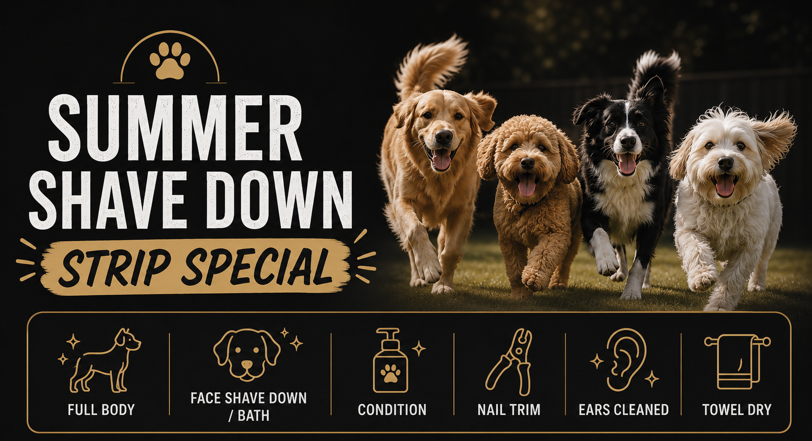 Luxury mobile pet grooming for dogs