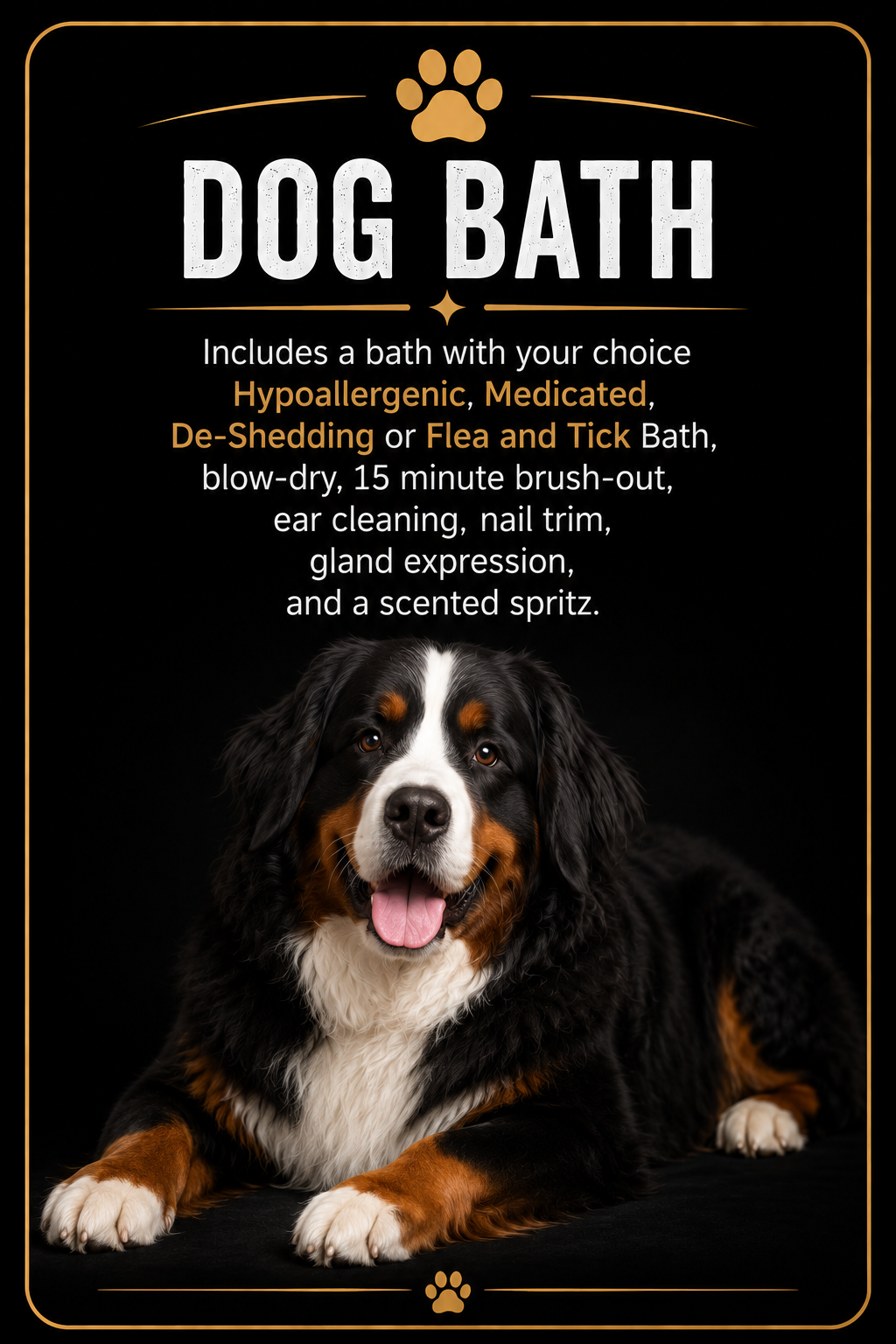 Professional dog bath, haircut, and nail trimming