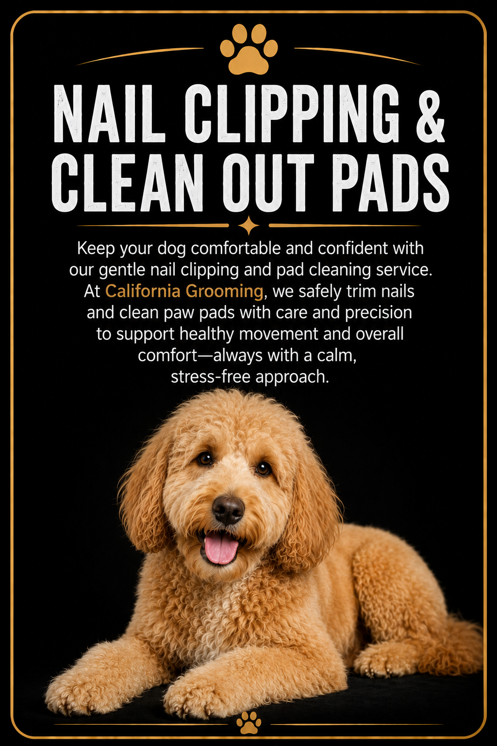 Mobile pet spa for healthy skin and coat