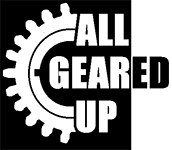 Crusher gearbox repair