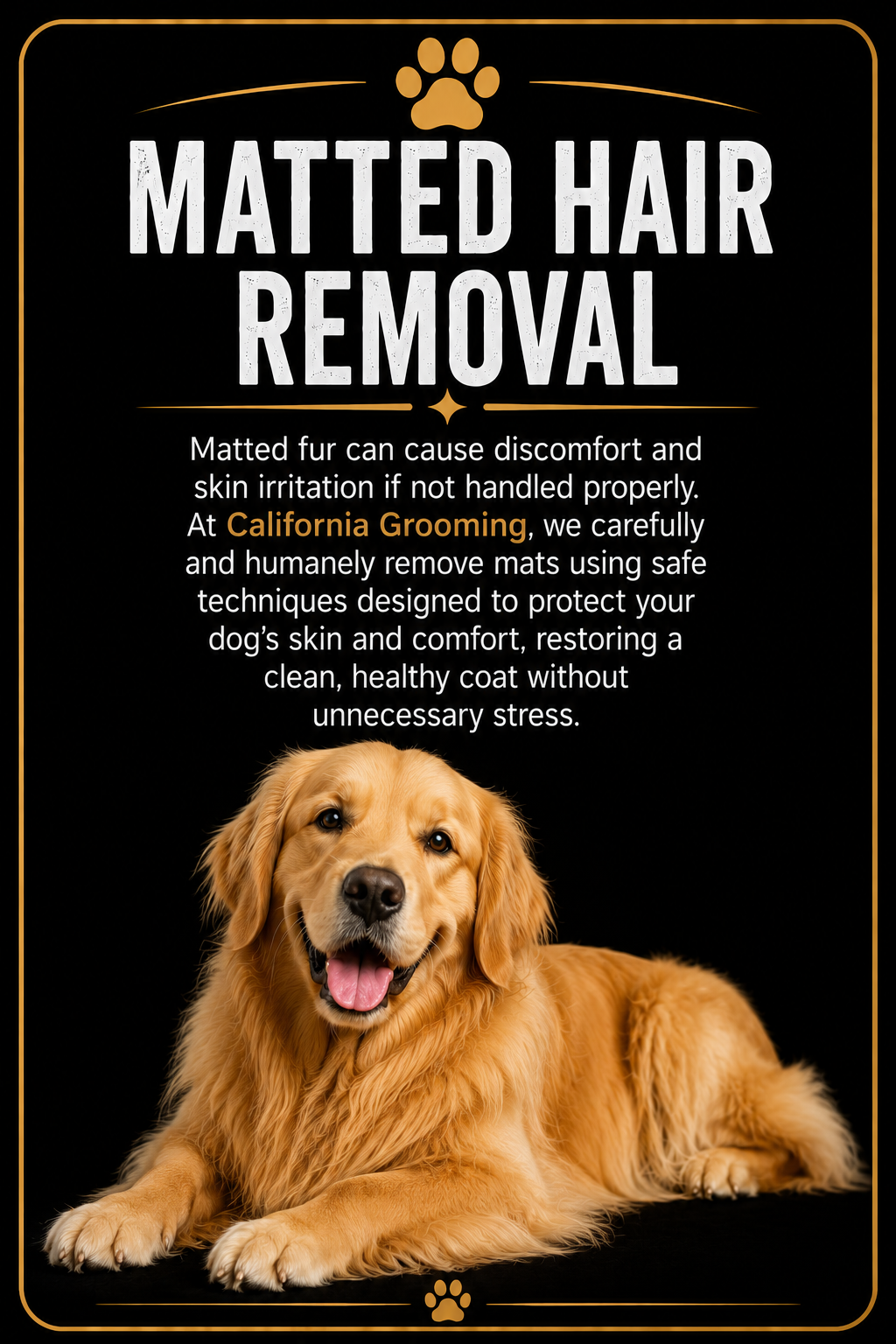 Gentle grooming for puppies and senior dogs
