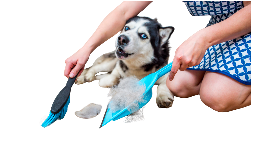 De-shedding treatment for dogs
