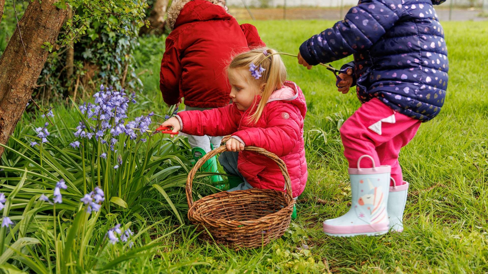 Montessori Education