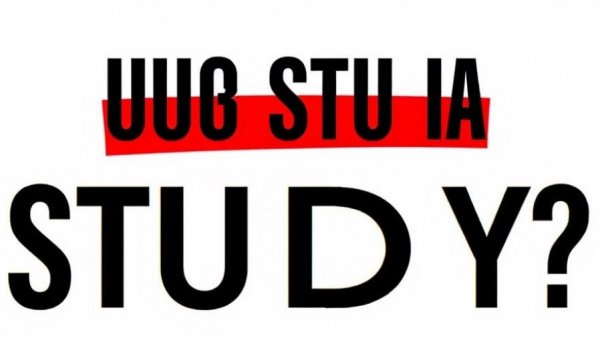 Minimalistic text questioning study on homemade pet food nutrition.