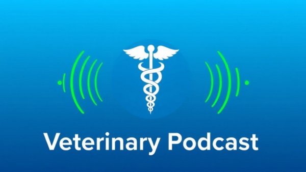 Modern veterinary podcast logo representing work-life symbiosis.