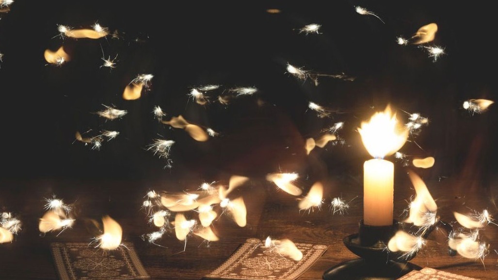 tarot readings dunedin
