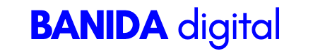 banida digital marketing agency logo