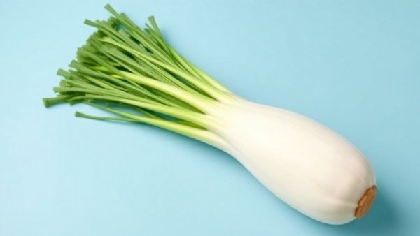 Fresh fennel bulb showcasing fennel benefits for metabolic health.