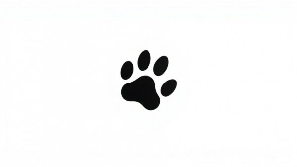 Simplistic paw print illustration for Best Dog Grooming Gloves