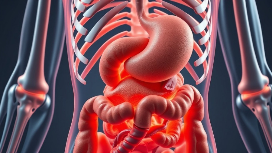 Anatomical illustration highlighting human digestive system for delaying gallbladder removal.