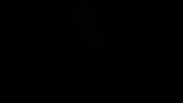 Abstract art with a black background, Hilton Diamond Reserve tier.