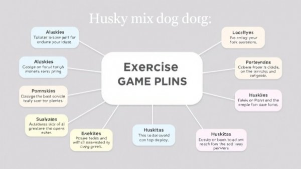 Informative exercise guide for Husky mix dog breeds.