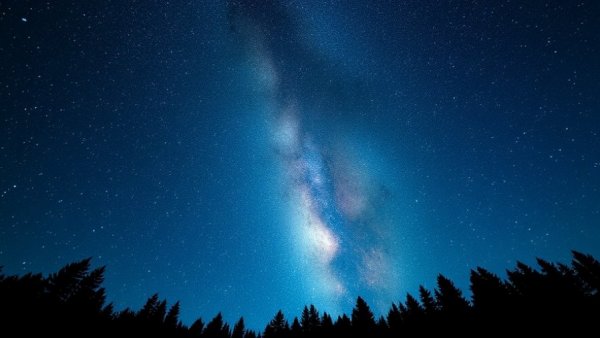 Milky Way over forest at night - Denver local news feature.