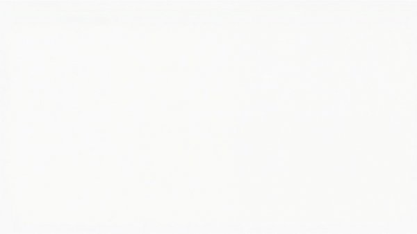 Empty whitespace representing lack of content.