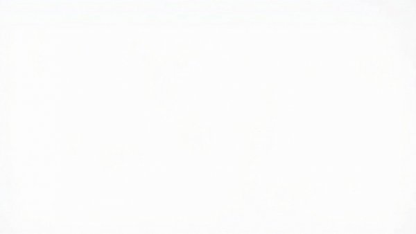 Chilliwack driver dead after crash, empty white image.