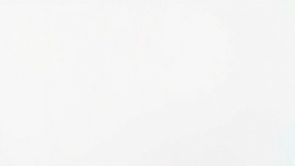 Blank white image with no details.