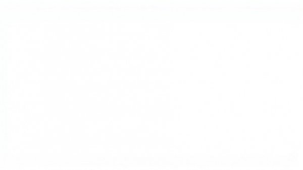 Blank white image with no visible content.