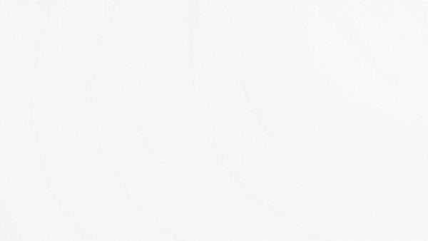 Plain white blank image, no content.