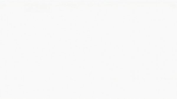 Blank space representing absence of content or context.