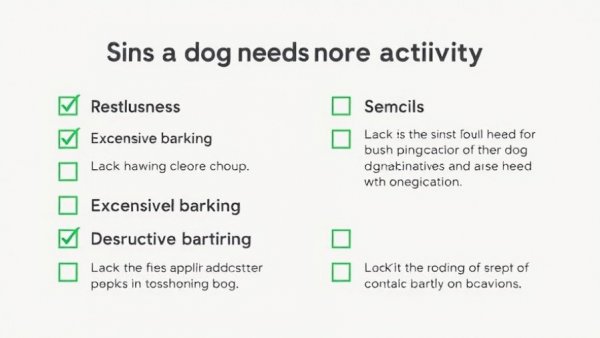 Pet health checklist in Denver: Signs your dog needs more activity.