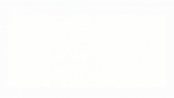 Blank white background devoid of content or details.