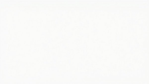 Blank white canvas for Canadian Photographer of the Year.