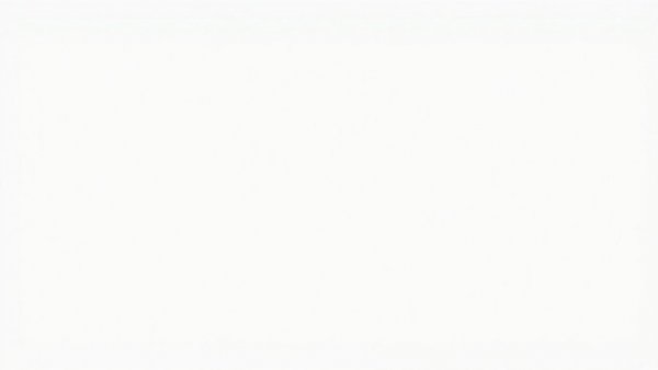 Blank image representing the concept of emptiness.