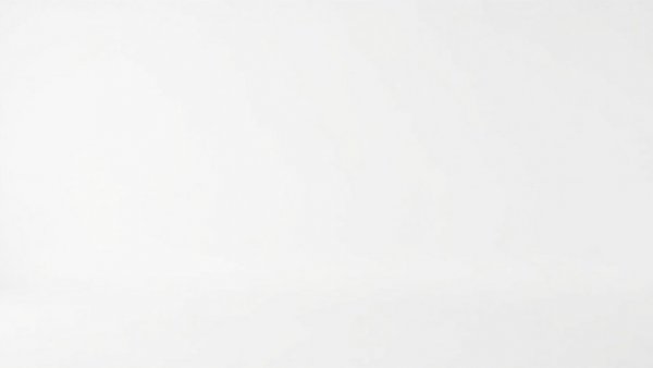 Minimalist white background, empty scene.